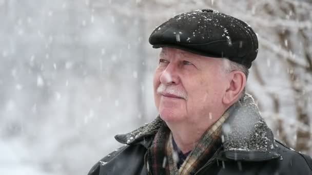 一位资深男士站在雪花下 在公园里看着他们 看到一个戴着帽子的老灰头发男子印象深刻 他在冬天的一个下雪的公园里站着 他看着冬天飘落的雪花 — 图库视频影像