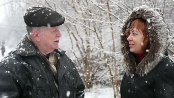 一位资深的父亲微笑着和他的快乐的女儿在一个下雪的公园里说话 一个乐观的看法 一个聪明的灰色男子在一个扁平的帽子 对他的金发女儿在毛皮大衣 他们在冬天愉快地微笑在慢动作 — 图库视频影像