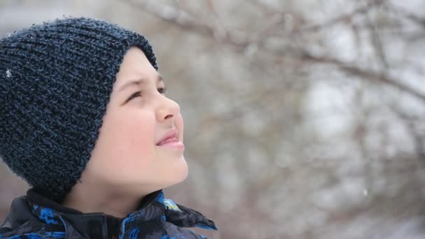 Ragazzo Divertente Alza Sguardo Parco Fiocchi Neve Cadenti Sembrano Bellissimi — Video Stock