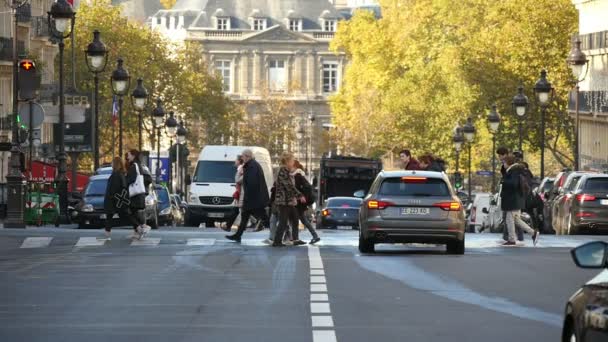 Paris France Novembre 2017 Une Vue Impressionnante Sur Les Piétons — Video