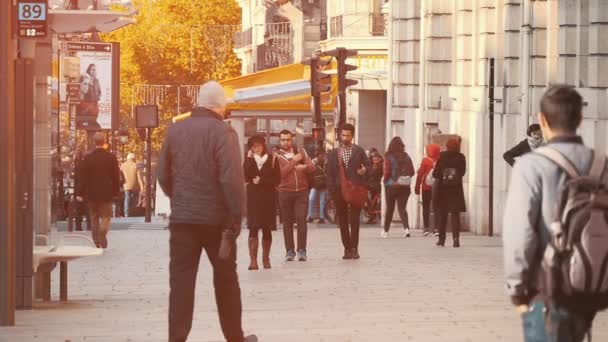 Paris Frankrijk November 2017 Een Inspirerend Uitzicht Toeristen Gaan Langs — Stockvideo