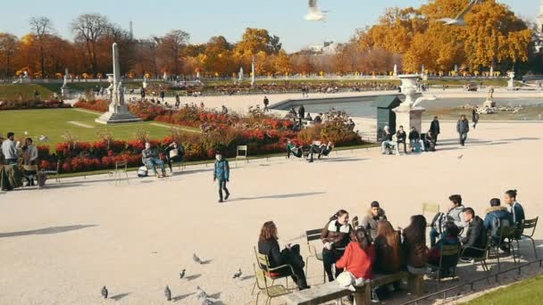 Paris France Novembre 2017 Une Vue Imprenable Sur Une Belle — Video