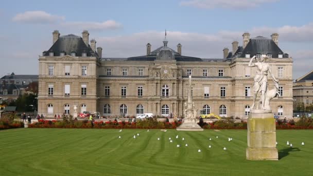 フランス 2017 緑の芝生とスローモーションで秋にパリの古代モニュメント リュクサンブール宮殿の感激のビュー フォア グラウンドで鳩が飛んでいます — ストック動画