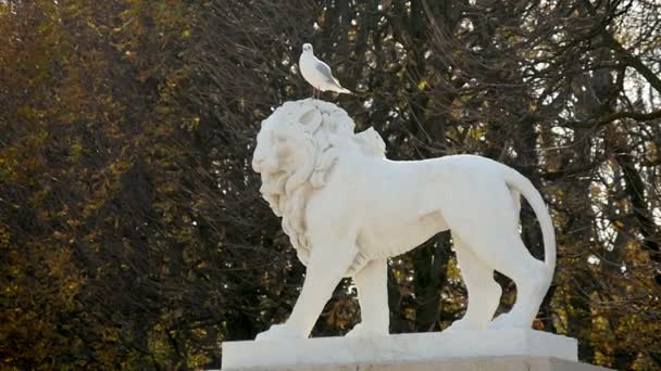 Leone Monumentale Bianco Con Una Colomba Testa Parco Parigi Autunno — Video Stock