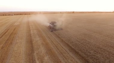 Nikolaev, Ukrayna - 28 Haziran 2017: nefes kesen bir kuş bakışı dev bir alana buğday yaz aylarında hasat bir modern birleştirmek hasat. Saman ile kaplı bir alanda hareket ediyor.