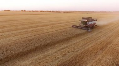 Nikolaev, Ukrayna - 28 Haziran 2017: heyecan verici bir kuş bakışı bir modern birleştirmek hasat bitkileri üzerinde sınırsız bir alan yazında toplama. Çapraz bir buğday alanı üzerinde taşır.