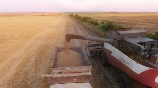 Nikolaev Oekraïne Juni 2017 Bird Eye View Van Een Combine — Stockvideo