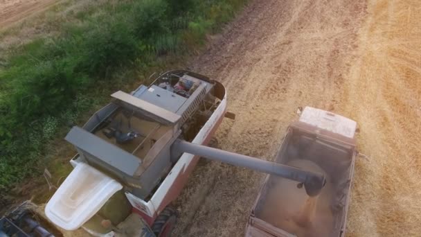 Nikolaev Oekraïne Juni 2017 Bird Eye View Van Een Combine — Stockvideo