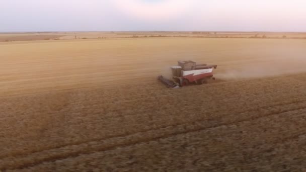 尼古拉耶夫 乌克兰 2017年6月28日 一个令人惊叹的鸟瞰现代联合收割机收割作物在一个无边的领域夏季 它收割 脱粒和簸散小麦 — 图库视频影像