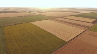 Hava güneşli yaz A görkemli kuş bakışı Ukrayna'da bir alanının içinde güneşli bir alan arıyorsunuz bir satranç tahtası bir kadeh. Yaz aylarında sarı, kahverengi ve yeşil renklerde çizgili kaplıdır.