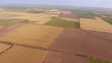 Güneşli bir günde bir çizgili tarım alanının hava atış güneşli bir yaz aylarında Ukrayna tarım alanında ilham verici bir görünümünü yaz. Sarı, kahverengi ve yeşil renkler alanlarla kaplıdır.