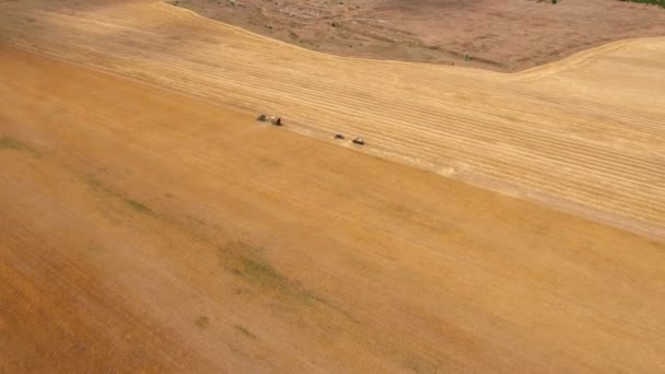 空中拍摄的一个结合与拖车的稻草和卡车在黄金领域 一个令人惊叹的移动联合收割机的看法 它在阳光明媚的日子里收集麦草 它有一辆拖车 卡车在附近 — 图库视频影像