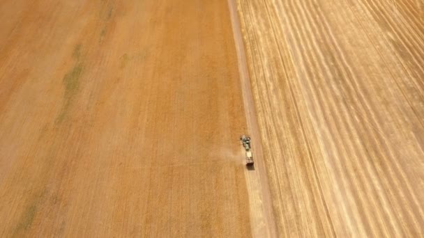 Toma Aérea Una Cosechadora Con Remolque Sosteniendo Paja Campo Amarillo — Vídeo de stock