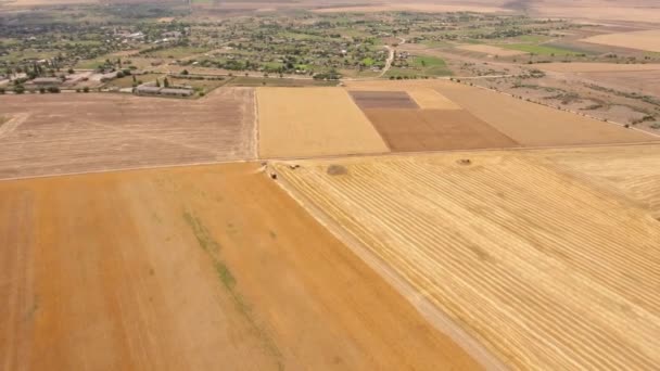 Foto Aerea Campo Multitavolozza Una Giornata Sole Estate Una Splendida — Video Stock