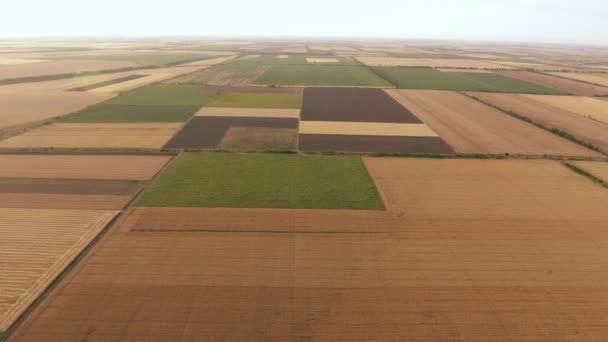 Luchtfoto Van Een Neo Geo Uitziende Veld Een Zonnige Dag — Stockvideo