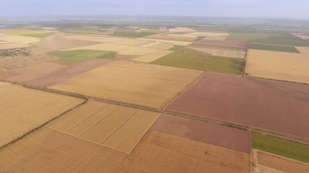 Fotografia Aérea Campo Rural Com Várias Faixas Dia Ensolarado Verão — Vídeo de Stock