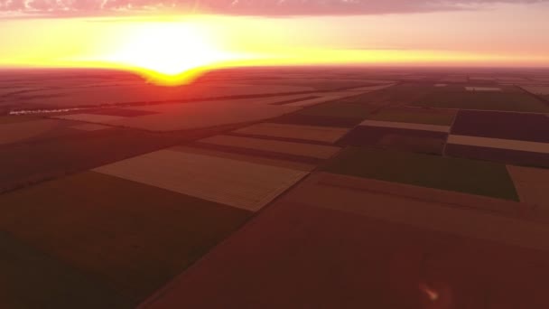 Повітряний Постріл Чудовий Сільськогосподарських Полів Променях Заходу Сонця Літніх Вуличок — стокове відео