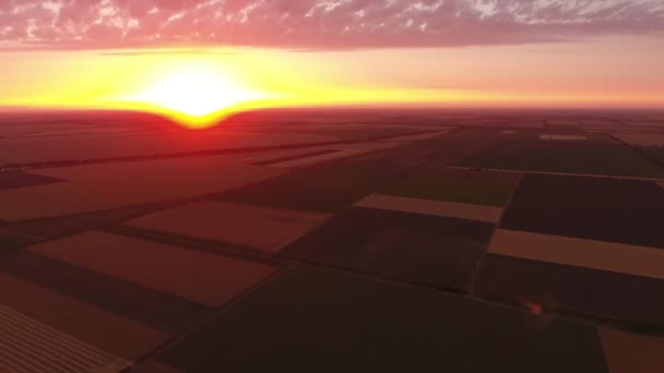 Летняя Воздушная Съемка Сверкающего Золотистого Заката Над Полосатым Пшеничным Полем — стоковое видео
