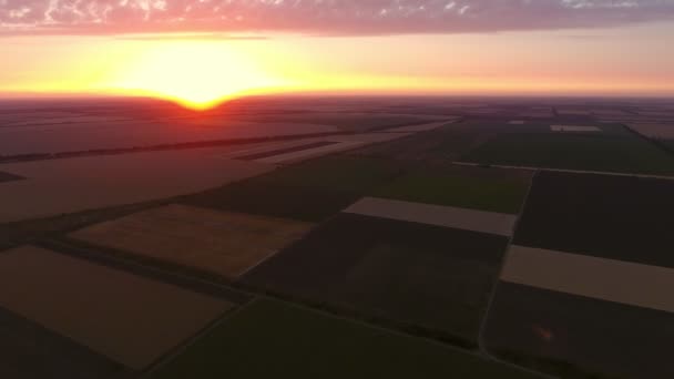 Vue Aérienne Champ Agricole Multicolore Coucher Soleil Été Une Vue — Video