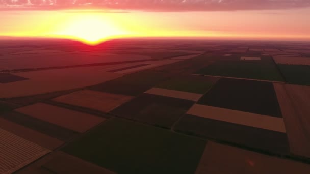 Icredible 金色日落上空的空中拍摄在夏季的条纹麦田上 一只华丽的鸟瞰图 上面有紫罗兰色和粉红色的晚霞 上面覆盖着带条纹补丁的麦田 — 图库视频影像