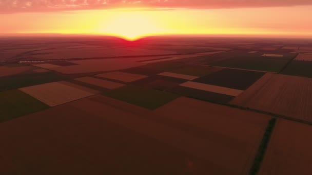 Vista Aérea Campo Agrícola Múltiples Rayas Una Espléndida Puesta Sol — Vídeo de stock