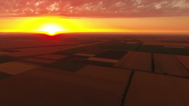 Повітряний Знімок Фіолетового Жовтого Заходу Сонця Над Смугастим Пшеничним Полем — стокове відео