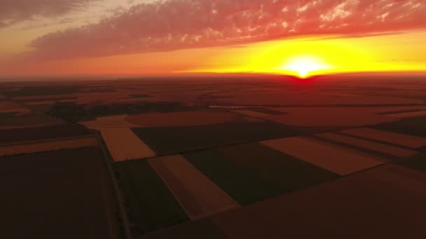 Foto Aérea Una Puesta Sol Anaranjada Amarilla Sobre Campo Rayas — Vídeos de Stock