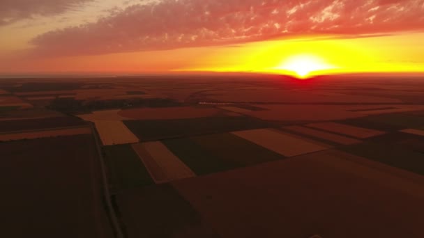 Luftaufnahme Eines Glitzernden Geschmolzenen Sonnenuntergangs Über Einem Vielgestreiften Feld Sommer — Stockvideo