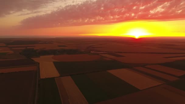 Летняя Воздушная Съемка Невероятного Сверкающего Заката Над Полосатым Полем Искусственный — стоковое видео