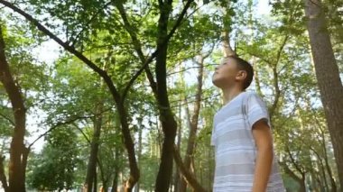 Küçük bir çocuk yukarı bakar ve slo-mo A 180 derece closeup yavaş yaz aylarında muhteşem bir parkta ayakta bakmak bir dokuz yıl çocuk batımında yeşil bir parkta bir patika üzerinde duruyor. O hayran görünüyor