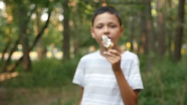 すてきな男の子がスローモーションで夏の晴れた日に素晴らしい緑色の部分に白いアイスクリームを食べて幸せな 歳の少年の観点からスローモーションのズームのおとぎ話緑公園で白いアイスクリームを食べる — ストック動画