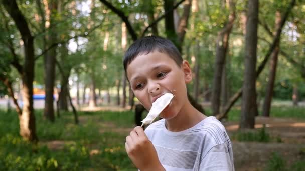 滑稽的小男孩吃白色冰淇淋在一个魔术绿色公园在慢动作肖像一个快乐的九岁男孩吃白色和冷的冰淇淋在一个迷人的绿色部分 在夏季的阳光明媚的一天在慢动作 — 图库视频影像