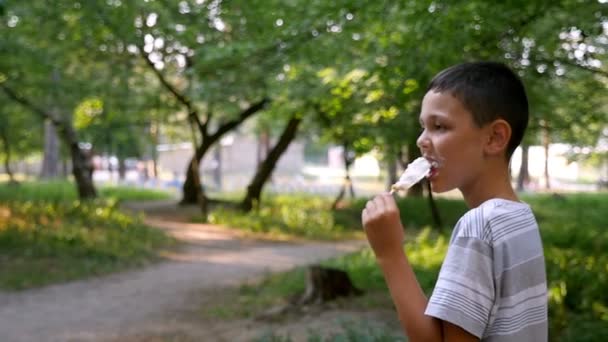 Menino Alegre Come Gelado Branco Esplêndido Parque Verde Câmera Lenta — Vídeo de Stock