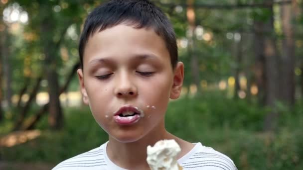快乐的小男孩吃白色冰淇淋在一个神奇的绿色公园在慢动作肖像一个愉快的九岁男孩吃白色和冷的冰淇淋在一个童话绿色部分在一个晴朗的日子夏天在慢动作 — 图库视频影像