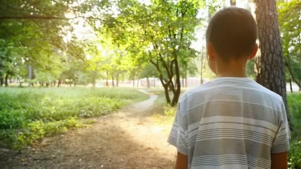 小男孩沿着小径到一个绿色公园的日出在斯洛伐克 莫一个闪耀的日出和一个年轻的男孩走向太阳通过一个神奇的公园夏天在斯洛伐克 他的背部中弹了 — 图库视频影像