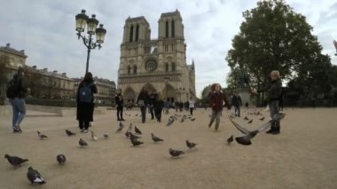 Paris, Fransa - 9 Kasım 2017: bir sanatsal bakış Notre Dame de Paris eski kubbe, sütunlar, gözlerden ve sonbahar ağır çekimde turist. Güvercinler sinek kare üzerinde 