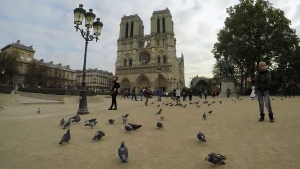 París Francia Noviembre 2017 Una Impresionante Vista Notre Dame París — Vídeo de stock