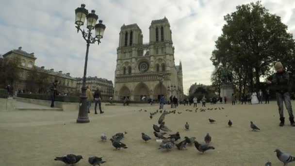 Paris Frankreich November 2017 Eine Kunstvolle Ansicht Von Notre Dame — Stockvideo