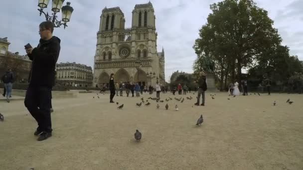 Paris França Novembro 2017 Uma Vista Artística Notre Dame Paris — Vídeo de Stock