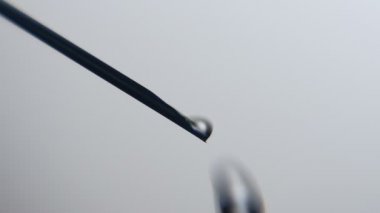Siyah sıvı damla alır bir metalik iğne ve sonbahar üzerinde büyük bir bilimsel laboratuarında metalik bir iğne üzerinde şişlik ve bilimsel bir laboratuvar gri arka planda gelen küçük damla şaşırtıcı bir makro çekim