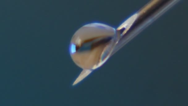水の滴は斜め針の先端で膨張し ラボで降りてくる 針の先端に成長している華麗な水滴の魔法マクロ Mazarine 薬学研究室でダイヤモンドのような落ちる — ストック動画