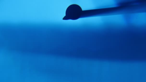 波光粼粼的水滴从一根注射器针在蓝色的医学实验室从一个原始的散景宏观与 Dazzzling 滴肿胀和下来从注射器针在蓝色 Mediacal 实验室 — 图库视频影像