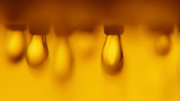 从金色浴室的金属喷嘴流出的微弱的水滴从一个现代金属喷雾的 Optimisti 宏观拍摄的水 Trinkling 从一个浴室与黄色和金色的墙壁 — 图库视频影像
