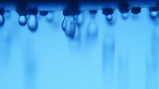 从一个蓝色的浴室里的金属喷雾滴下的灿烂的水滴一个乐观的宏观镜头从金属喷嘴的水滴在现代浴室与蓝色墙壁 — 图库视频影像