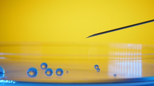 小点的水从针头上掉下来 在实验室里做一个小水池 从金属针上掉下一小滴液体 在实验室的黄色背景下形成一个圆形水坑 — 图库视频影像