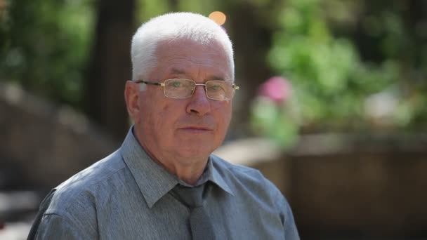 Feliz Hombre Cabeza Gris Gafas Sienta Sonríe Parque Verano Retrato — Vídeos de Stock