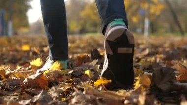Manu 'nun ayakları, sonbaharda bir parkta turuncu yapraklarla hışırdıyor ve hışırdıyor. Yavaş çekimde güneşli bir sonbaharda güneşli bir günde güneşli bir parkta hışırtı ve yürüyüş yapan modern spor ayakkabılarıyla genç erkek bacaklarının heyecanlı bir görüntüsü.