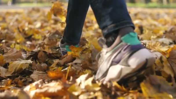 Pies Masculinos Senderismo Crujir Con Hojas Anaranjadas Callejón Otoño Slo — Vídeo de stock