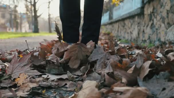 Γυναικεία Πόδια Κομψές Υψηλές Μπότες Βόλτα Κίτρινα Φύλλα Ένα Πάρκο — Αρχείο Βίντεο