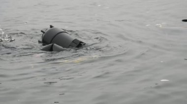 Profesyonel savaş yüzücüsü yavaş çekimde dalgıçla ve paletlerle dalan profesyonel bir savaş yüzücünün, sırtında dalgıçla balıklama daldığını ve yazın yavaş çekimde sakin bir nehirde uzun yüzgeçler gördüğünü söyledi..